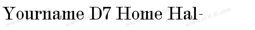 Yourname D7 Home Hal字体转换